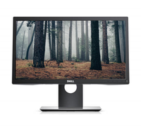 Dell P2017H / Klasa A-