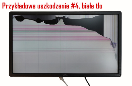 Dell P2414Hb / Klasa C (uszkodzony)