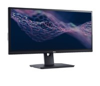 Dell UltraSharp U2913WMt