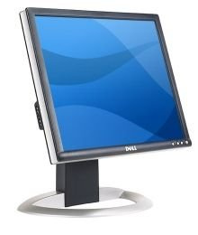 DELL 1704FP