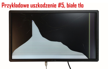 EIZO Flexscan EV2450 szary, z głośnikami / Klasa C (uszkodzony)