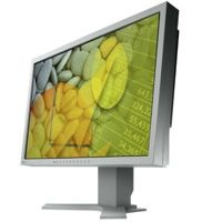 EIZO S2202w