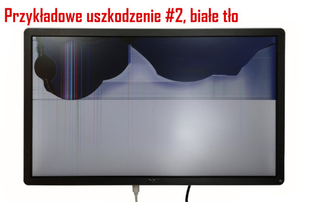 EIZO Flexscan EV2450 szary, z głośnikami / Klasa C (uszkodzony)