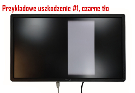 EIZO Flexscan EV2450 szary, z głośnikami / Klasa C (uszkodzony)