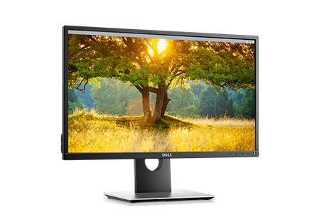 Dell P2417H