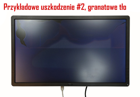 EIZO Flexscan EV2450 szary, z głośnikami / Klasa C (uszkodzony)