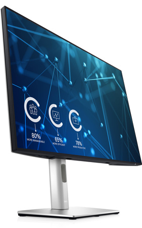 Dell UltraSharp U2421E WUXGA