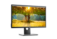 Dell P2417H
